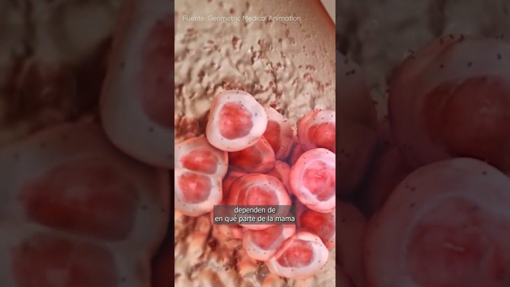 Cancer - i-Healthcare