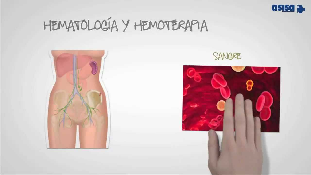 Hematologia - i-Healthcare