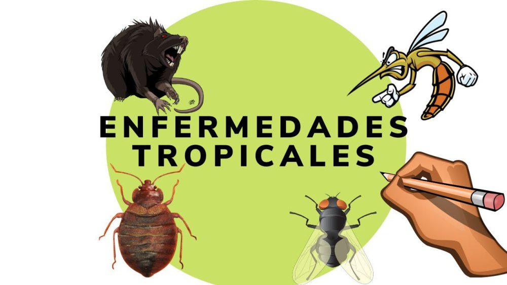 Medicina-tropical - i-Healthcare