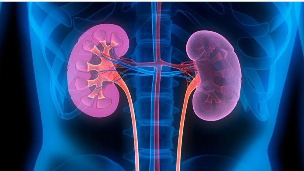 Nefrologia - i-Healthcare