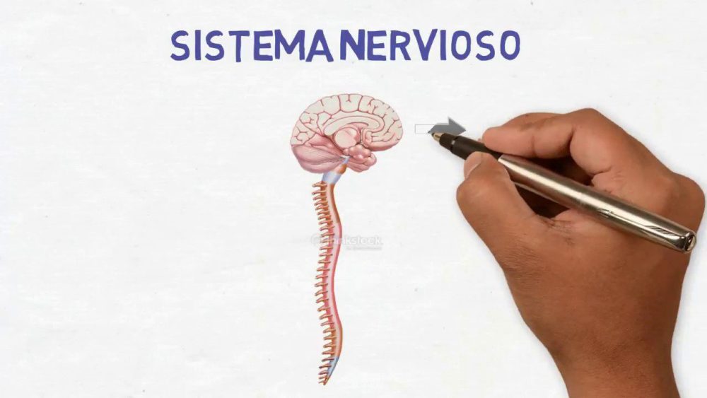 Neurologia - i-Healthcare