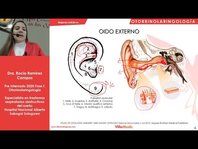 Otorrinolaringologia - i-Healthcare