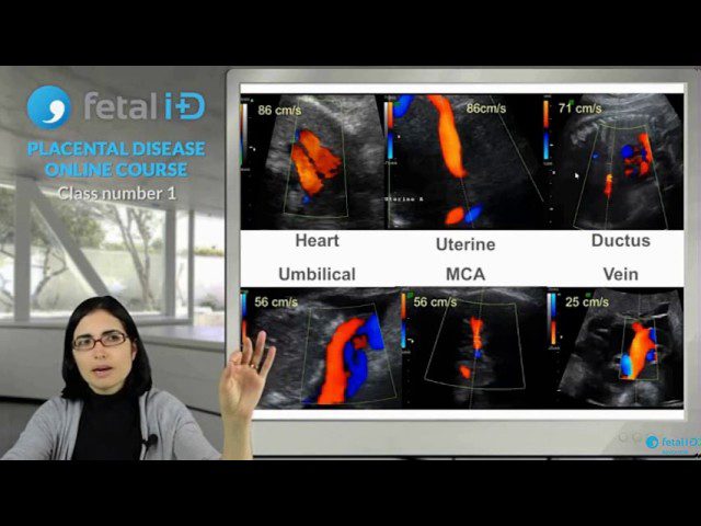 Medicina-fetal-y-materno-fetal - i-Healthcare