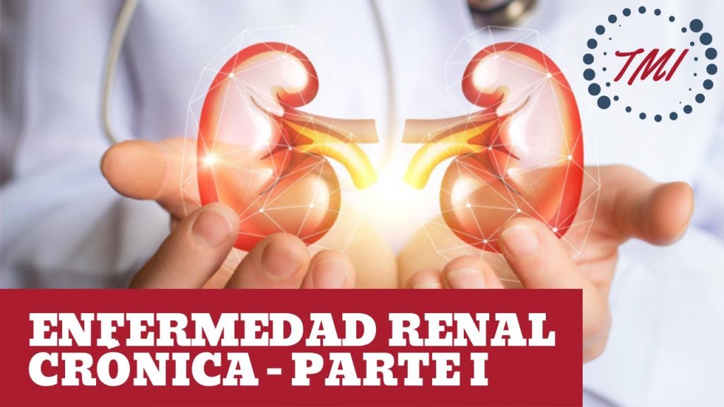 Todo lo que necesitas saber sobre la enfermedad renal crónica: causas ...