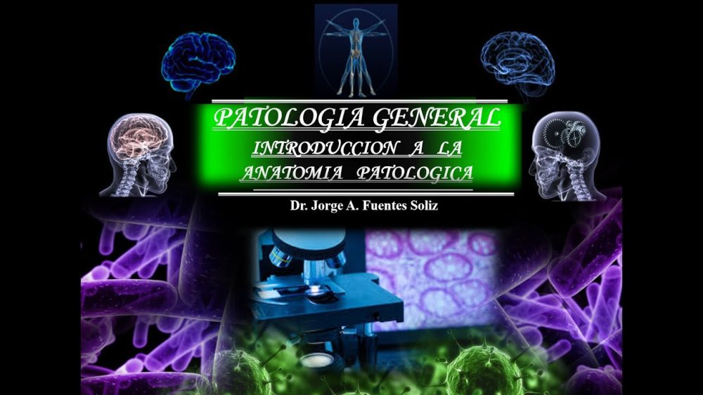 patologia-general - i-Healthcare