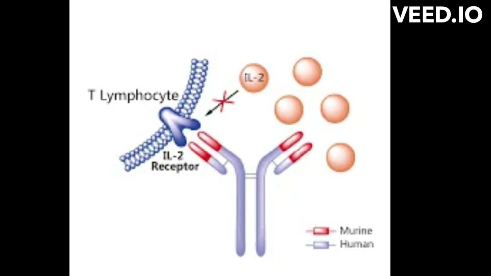 Basiliximab - i-Healthcare