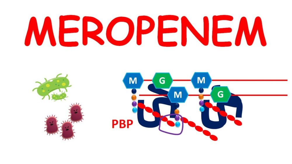 Meropenem - i-Healthcare
