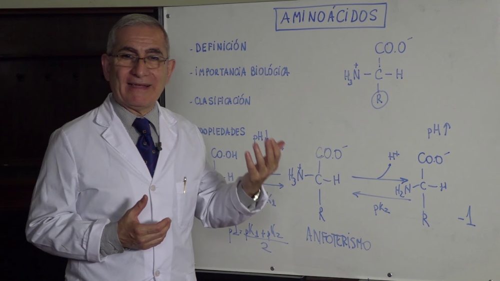 Aminoacidos - i-Healthcare