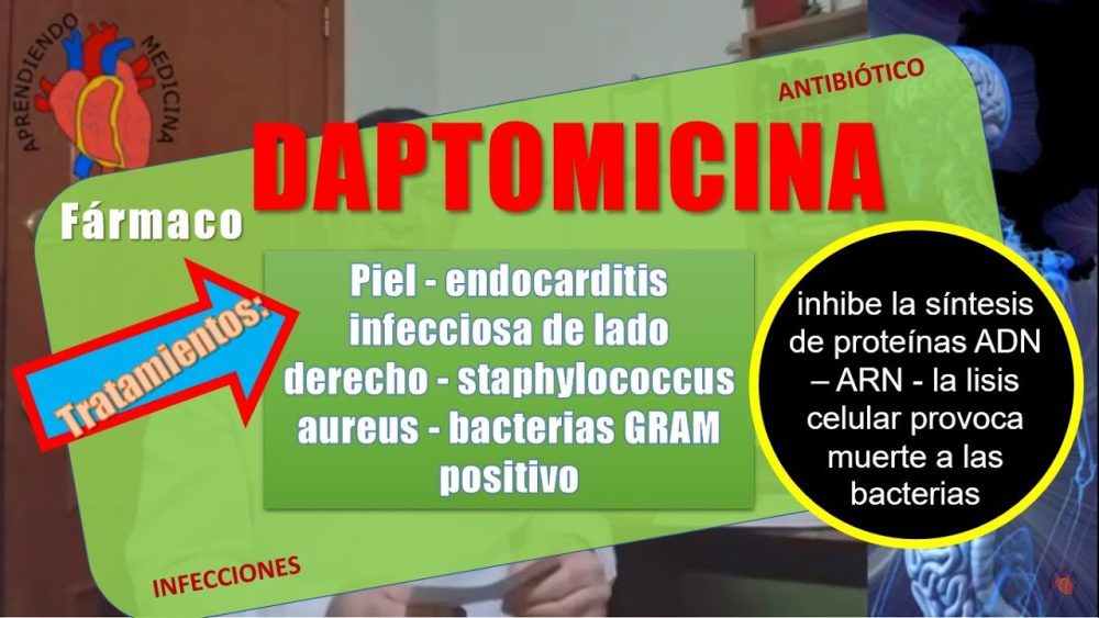 Daptomicina - i-Healthcare