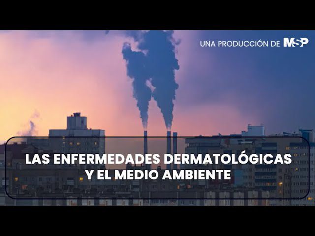 Efectos-de-la-Contaminacion-Ambiental-en-la-Salud-Perspectivas-Medicas - i-Healthcare