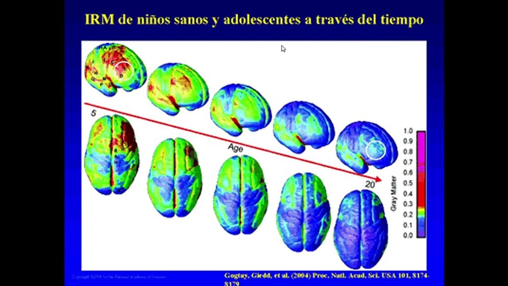 Neurociencia-Pediatrica-Desarrollos-Recientes-y-Desafios-Actuales - i-Healthcare