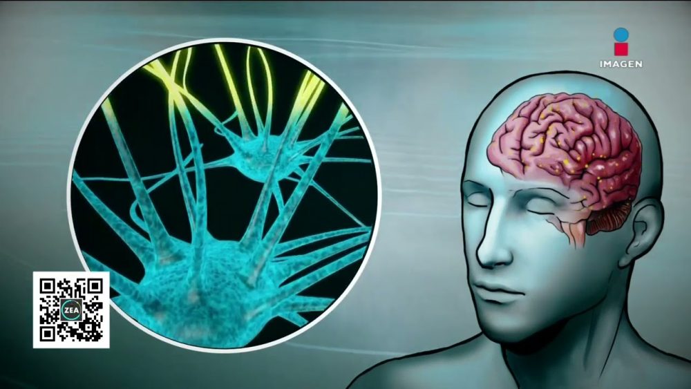 Psiquiatria-Biologica-Avances-en-el-Entendimiento-y-Tratamiento-de-Trastornos-Mentales - i-Healthcare
