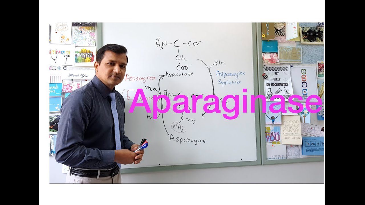 Asparaginasa - i-Healthcare