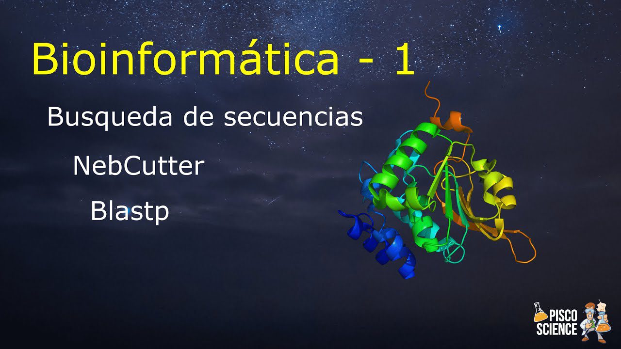 Bioinformatica-en-Medicina-Analisis-de-Datos-para-la-Toma-de-Decisiones-Clinicas - i-Healthcare