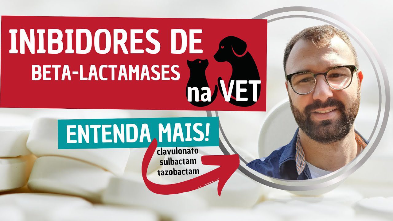 Ceftolozano-E-Inhibidor-De-Betalactamasa - i-Healthcare