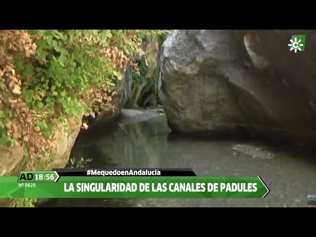 Centro-de-salud-de-Padules - i-Healthcare