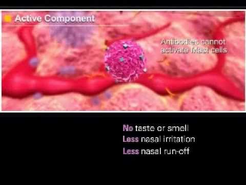 Ciclesonida - i-Healthcare