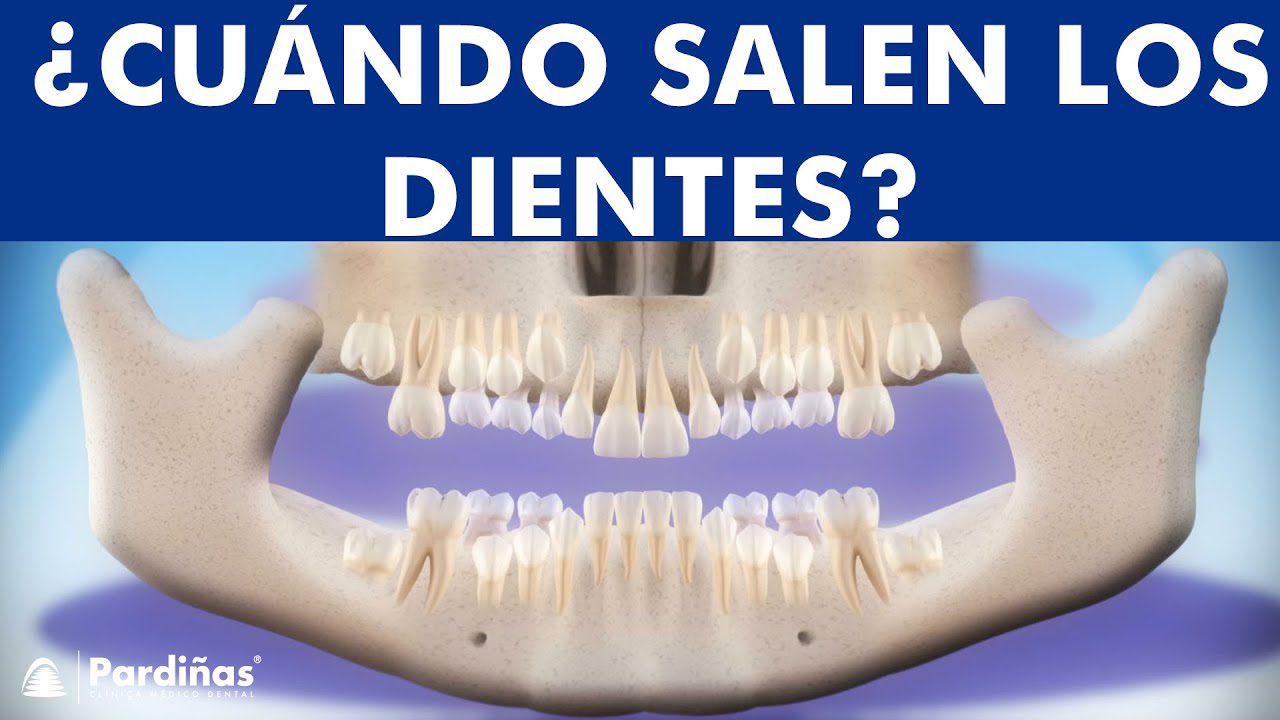 Dentista-en-Nacimiento - i-Healthcare