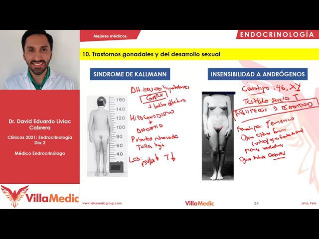 Endocrinologia-del-Siglo-XXI-Abordajes-Actuales-en-Problemas-Hormonales - i-Healthcare