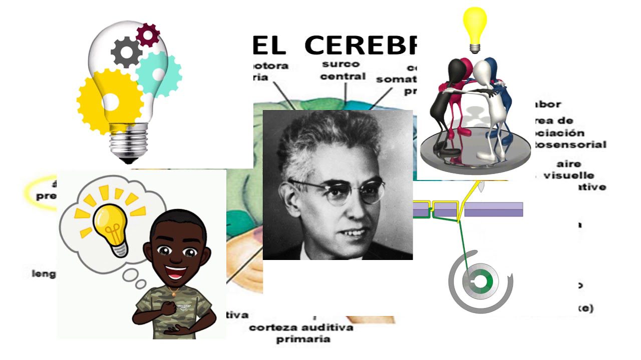 Neuropsicologia-Entendiendo-las-Relaciones-entre-Cerebro-y-Comportamiento - i-Healthcare