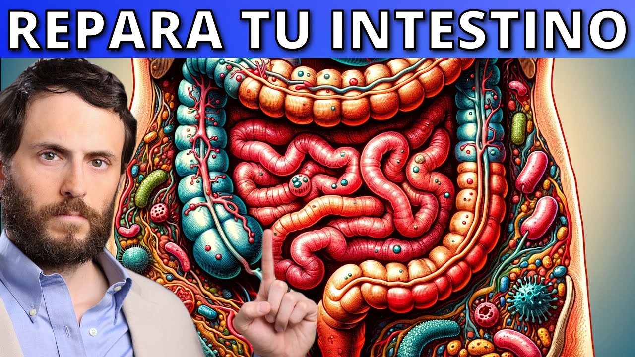 Salud-Intestinal-Enfoques-Terapeuticos-para-Problemas-Digestivos - i-Healthcare