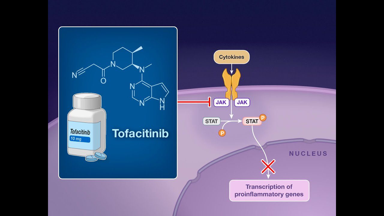 Tofacitinib - i-Healthcare