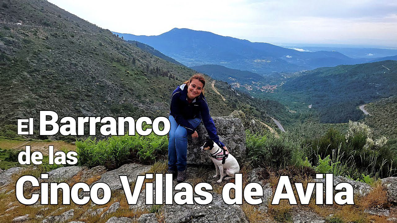 Dentista-en-Cuevas-del-Valle - i-Healthcare