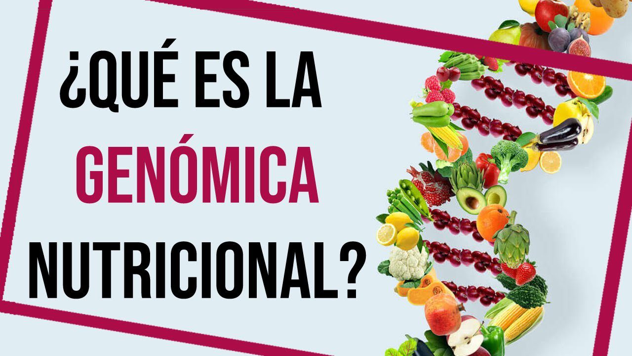 Genomica-Nutricional-Adaptando-la-Dieta-a-la-Informacion-Genetica - i-Healthcare