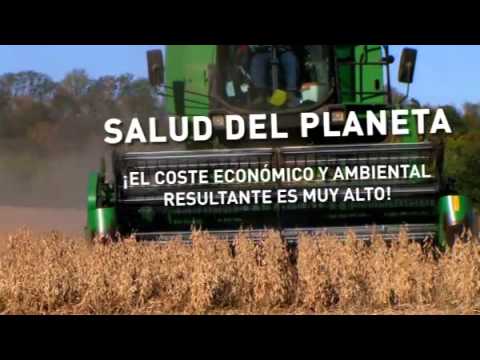 Salud-Ambiental-en-la-Alimentacion-Impacto-de-la-Dieta-en-el-Medio-Ambiente - i-Healthcare