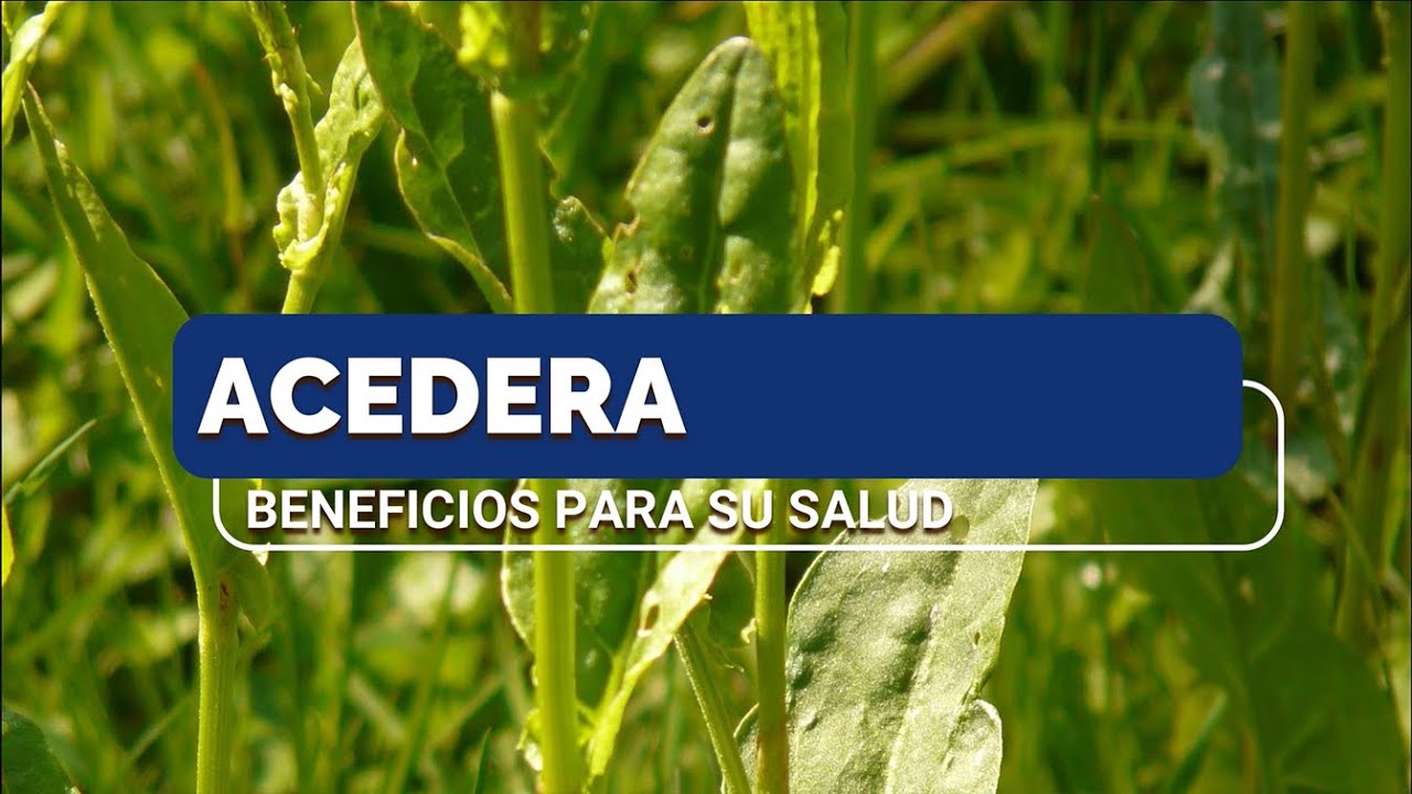 Centro-de-salud-de-Acedera - i-Healthcare