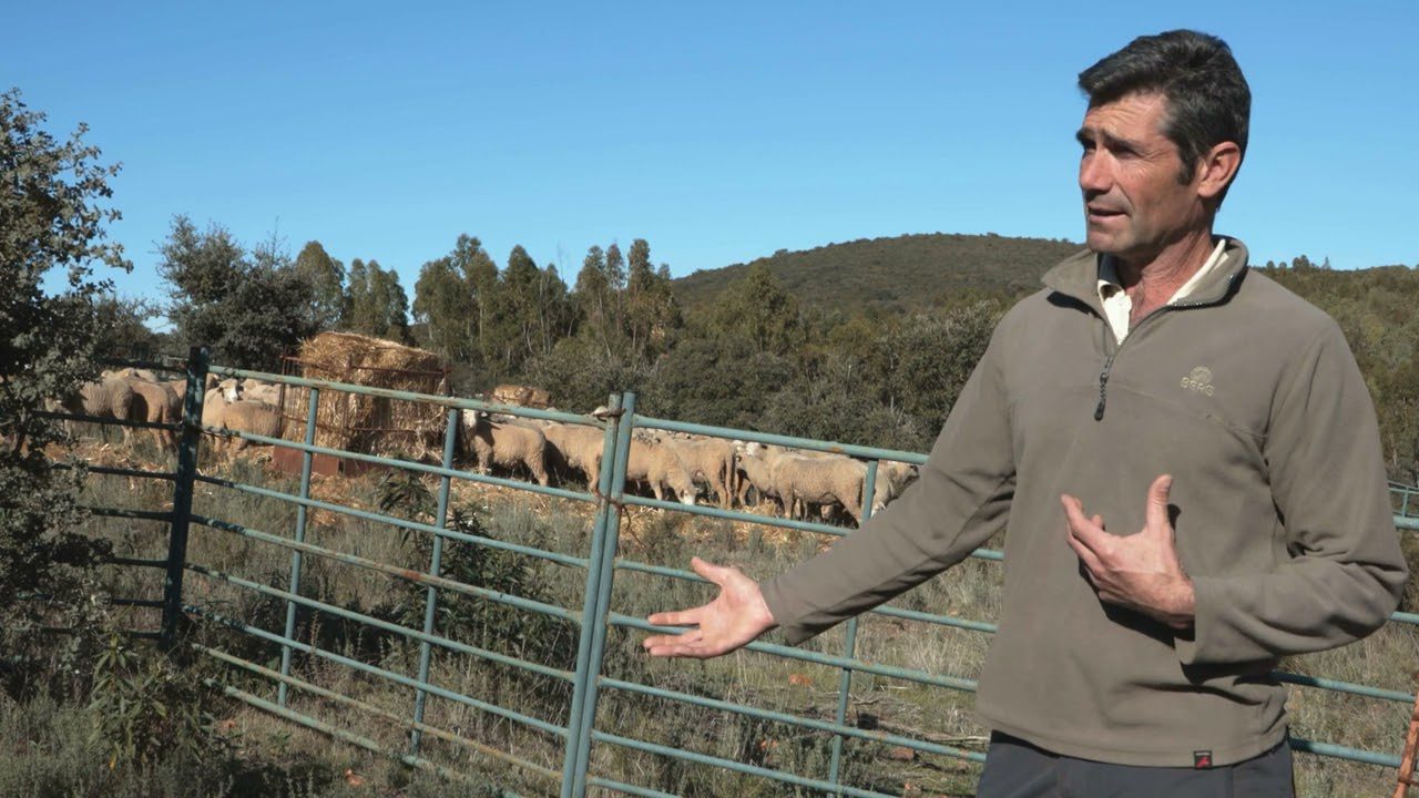 Centro-de-salud-de-Retamal-de-Llerena - i-Healthcare