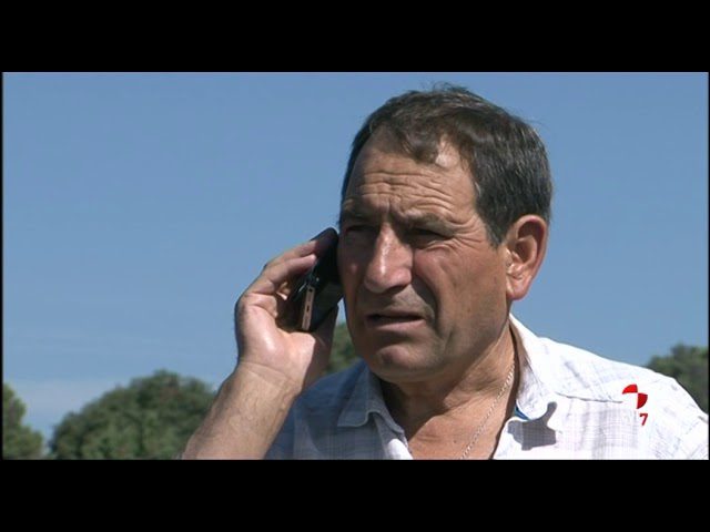 Dentista-en-Navaluenga - i-Healthcare