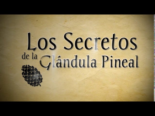 Centro-de-salud-de-Gaia - i-Healthcare Centro de salud de Gaià