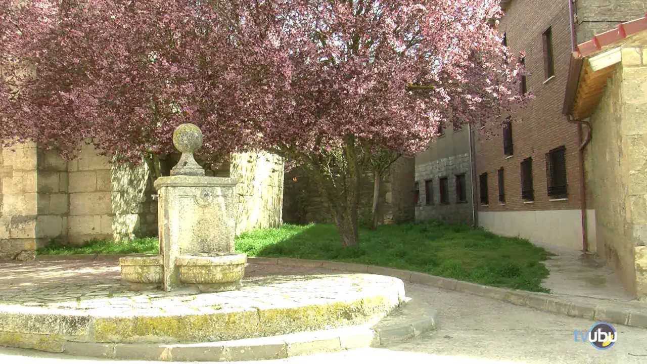 Centro-de-salud-de-Alfoz-de-Quintanaduenas - i-Healthcare Centro de salud de Alfoz de Quintanadueñas
