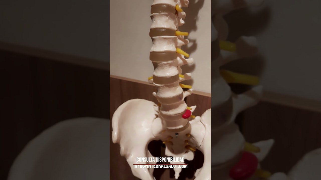 Clínica de Fisioterapia en Sant Just Desvern