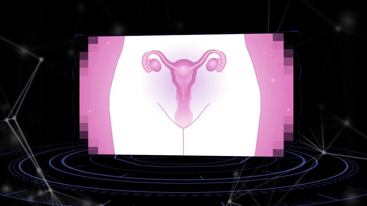 Cómo manejar la insuficiencia ovárica prematura