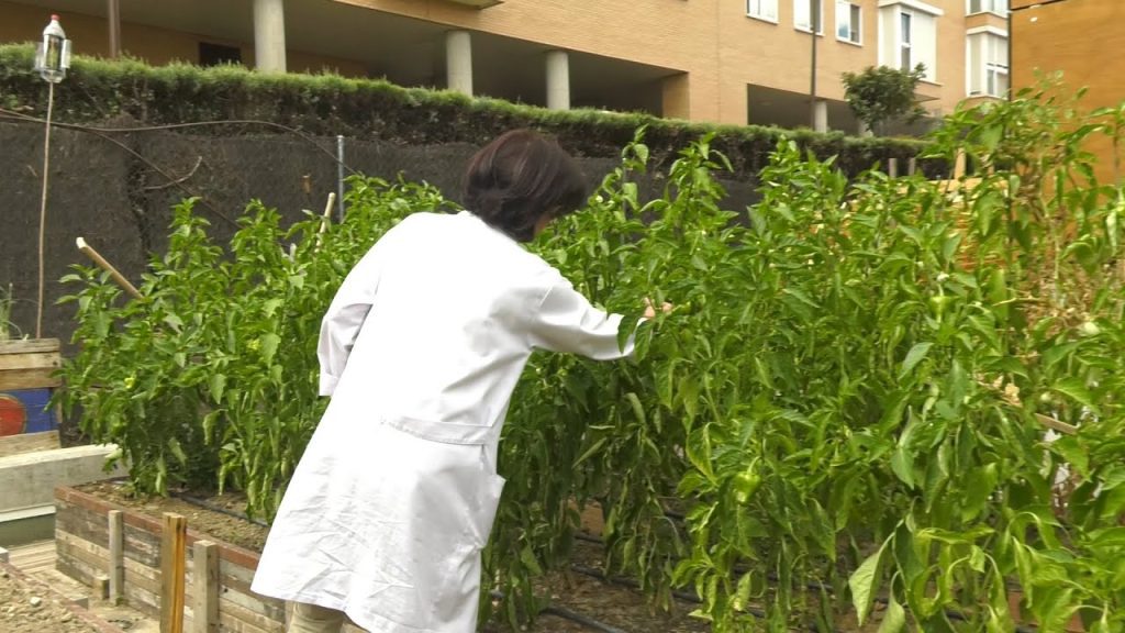 Centro de salud de Huerta de Arriba