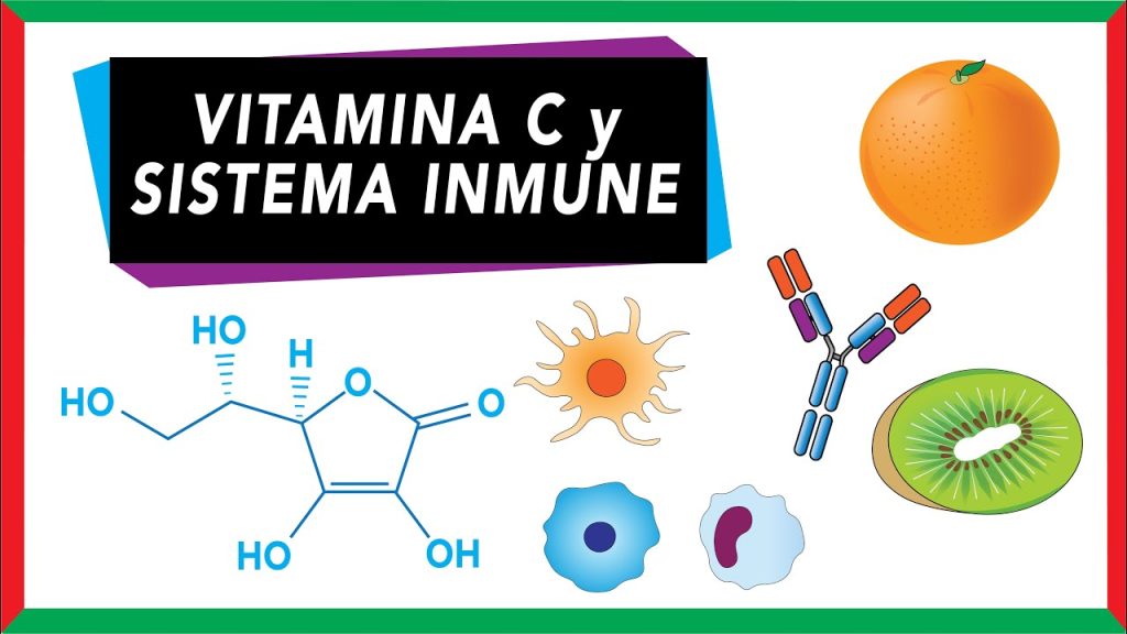 La importancia de la vitamina C para el sistema inmunológico femenino