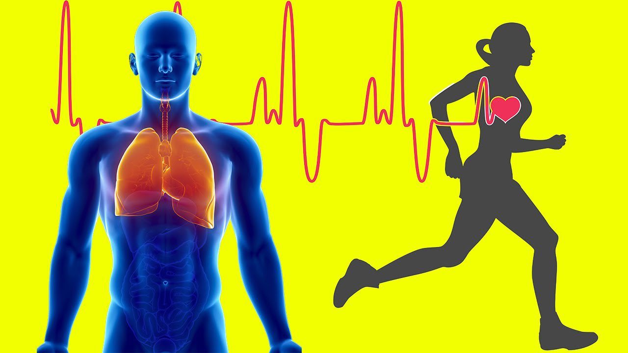 Los-beneficios-del-entrenamiento-de-resistencia-para-la-salud-ginecologica - i-Healthcare Los beneficios del entrenamiento de resistencia para la salud ginecológica