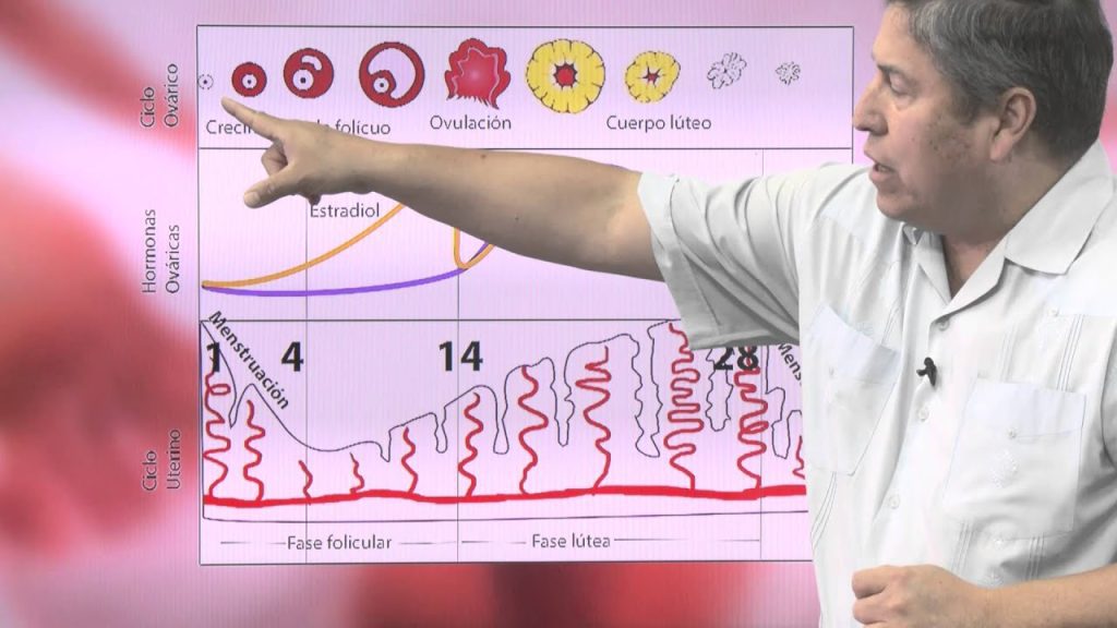 Todo sobre la anticoncepción hormonal