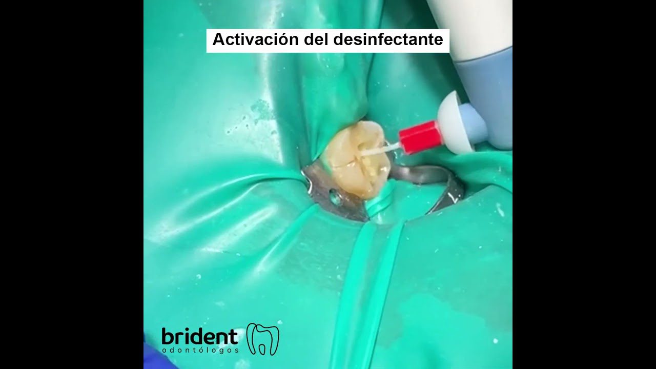 Dentista en  Tavèrnoles