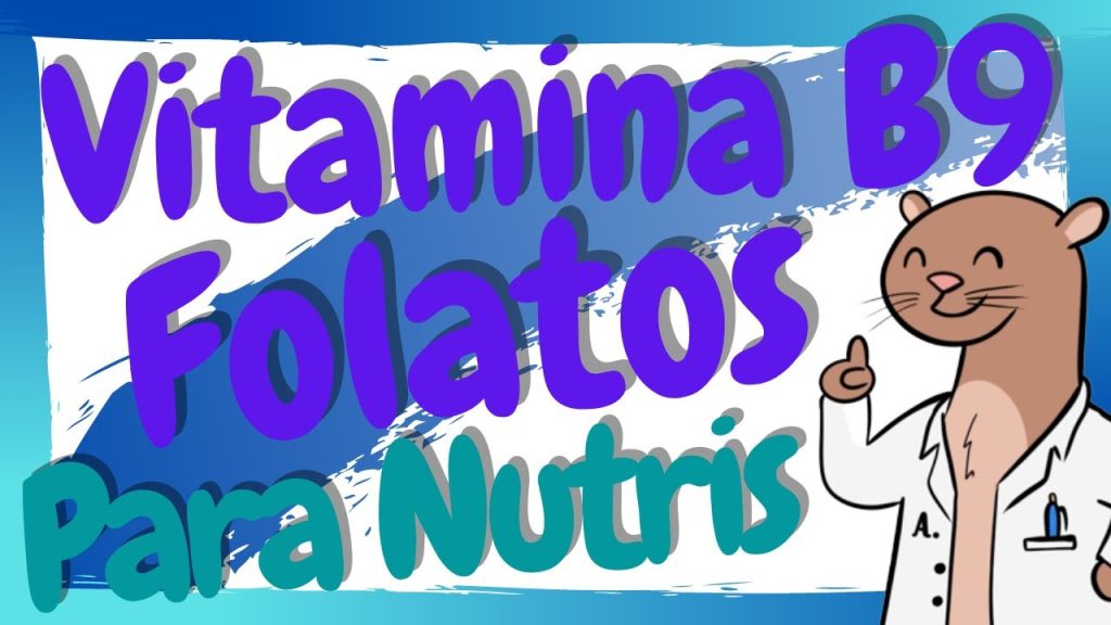 La importancia de la vitamina B9 en la salud reproductiva