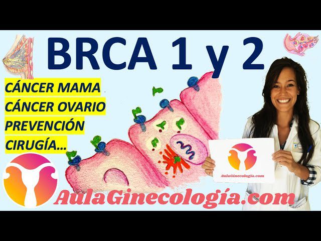 La-relacion-entre-el-cancer-de-mama-y-la-salud-ginecologica - i-Healthcare La relación entre el cáncer de mama y la salud ginecológica