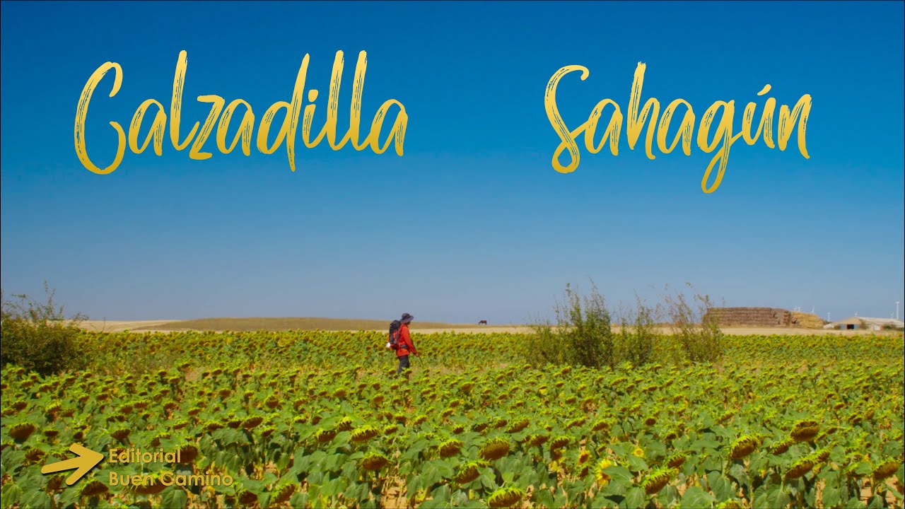 Centro de salud de Calzadilla