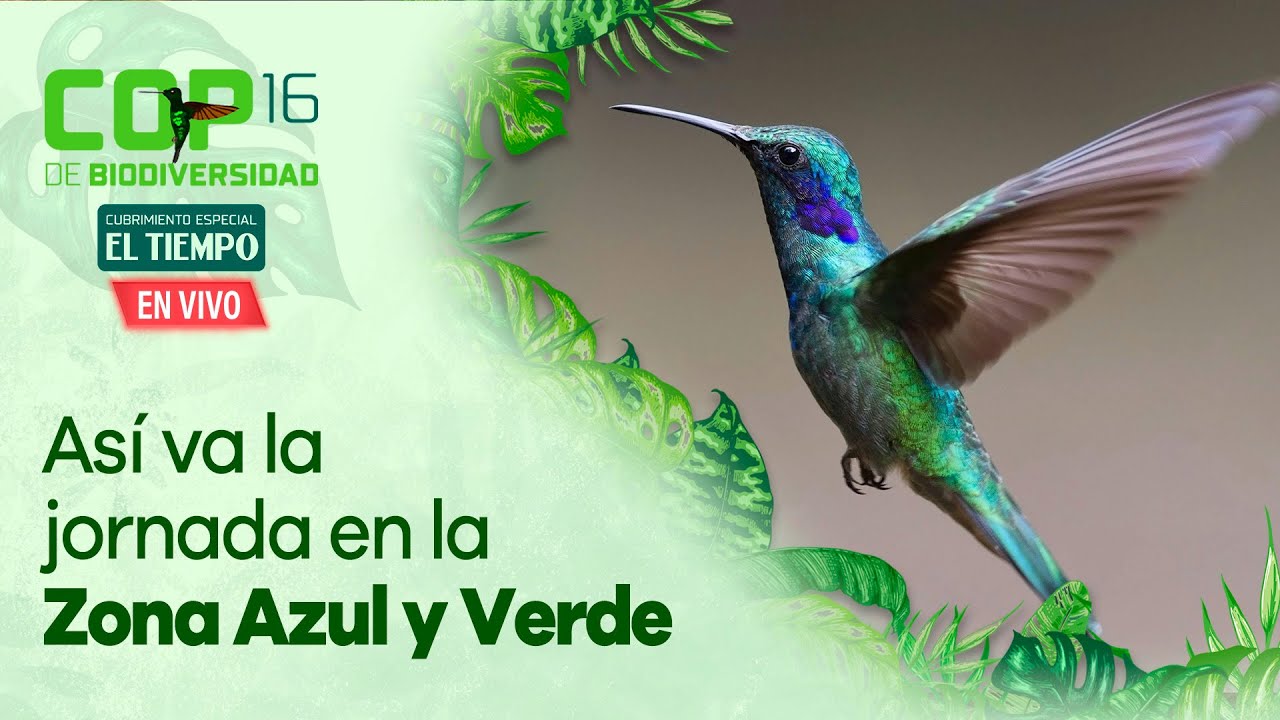 Centro de salud de Cumbre