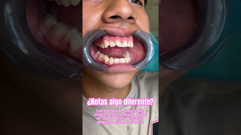 Dentista en  Merindad de Valdivielso