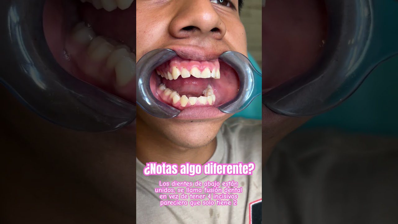 Dentista en  Merindad de Valdivielso