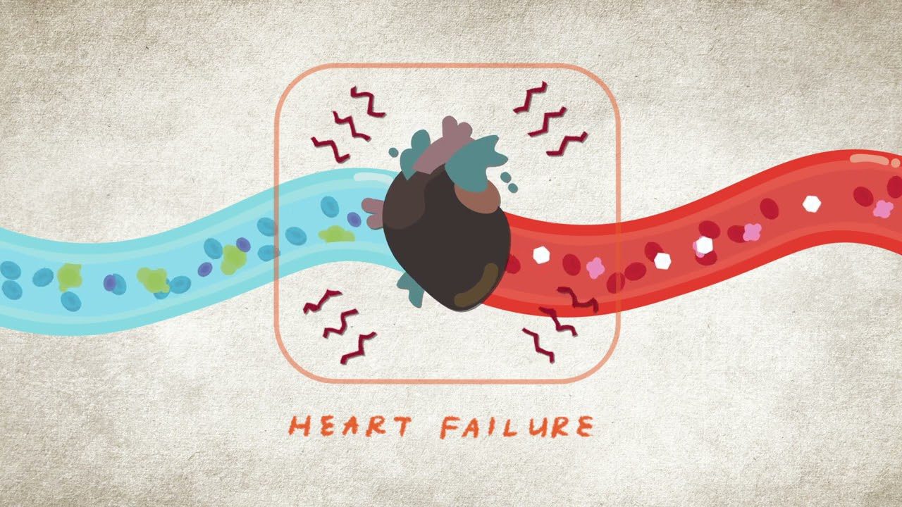 Famosos-hispanoamericanos-que-han-enfrentado-enfermedades-cardiovasculares - i-Healthcare Famosos hispanoamericanos que han enfrentado enfermedades cardiovasculares