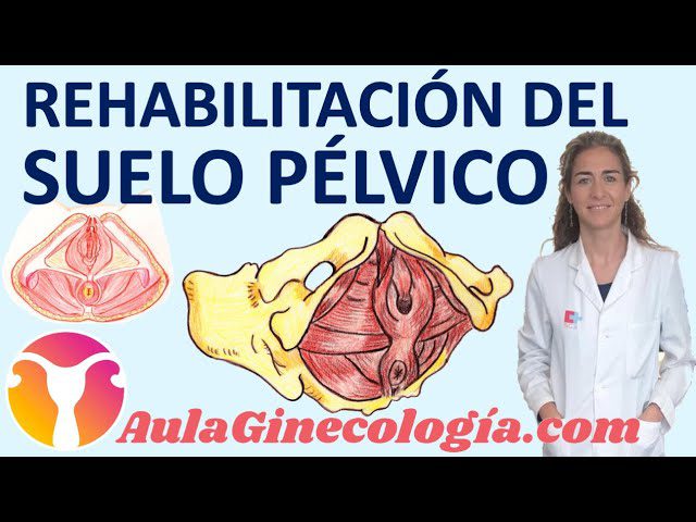 La conexión entre la salud del suelo pélvico y la ginecología