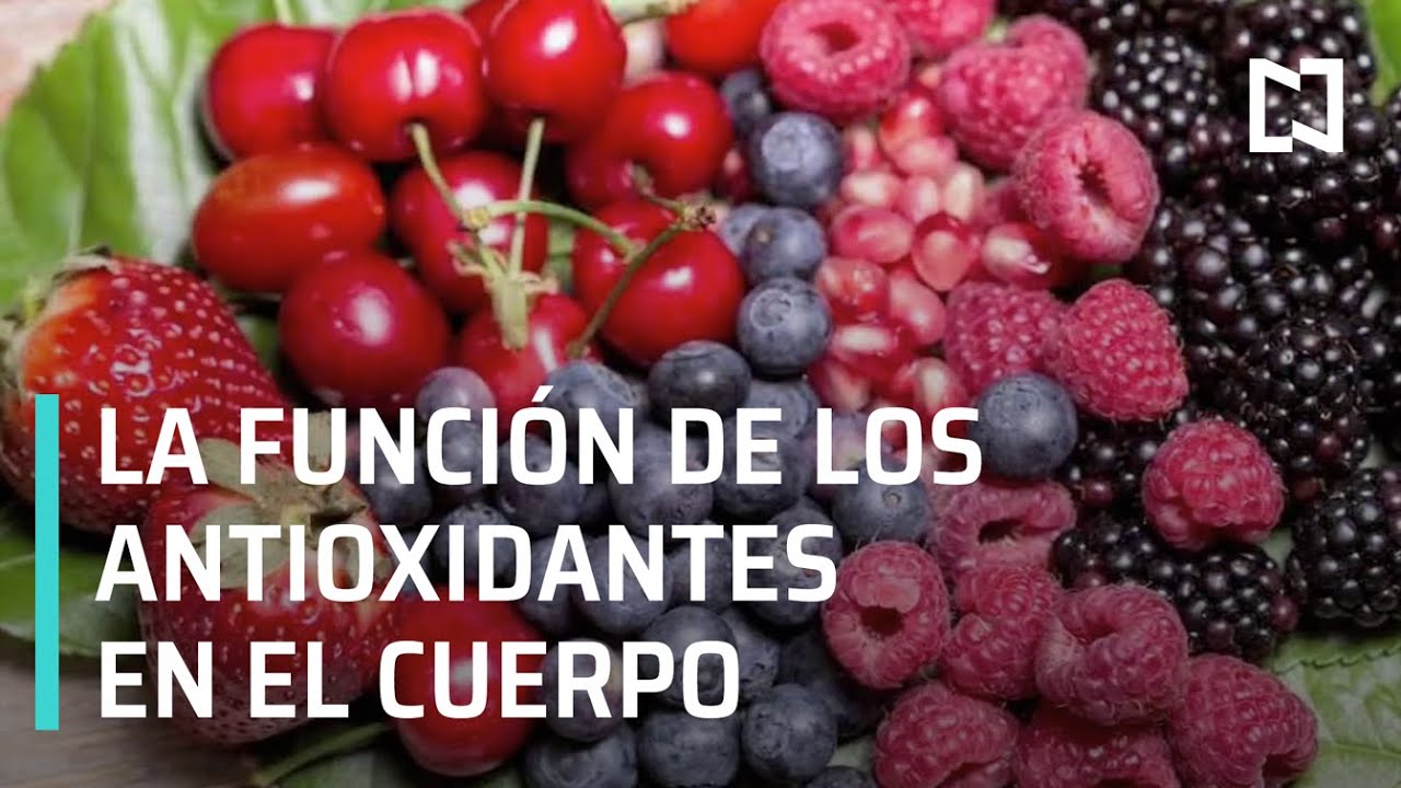 La importancia de los antioxidantes para la salud ginecológica
